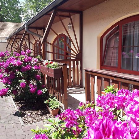Hotel Fogl Nová Bystřice Bagian luar foto