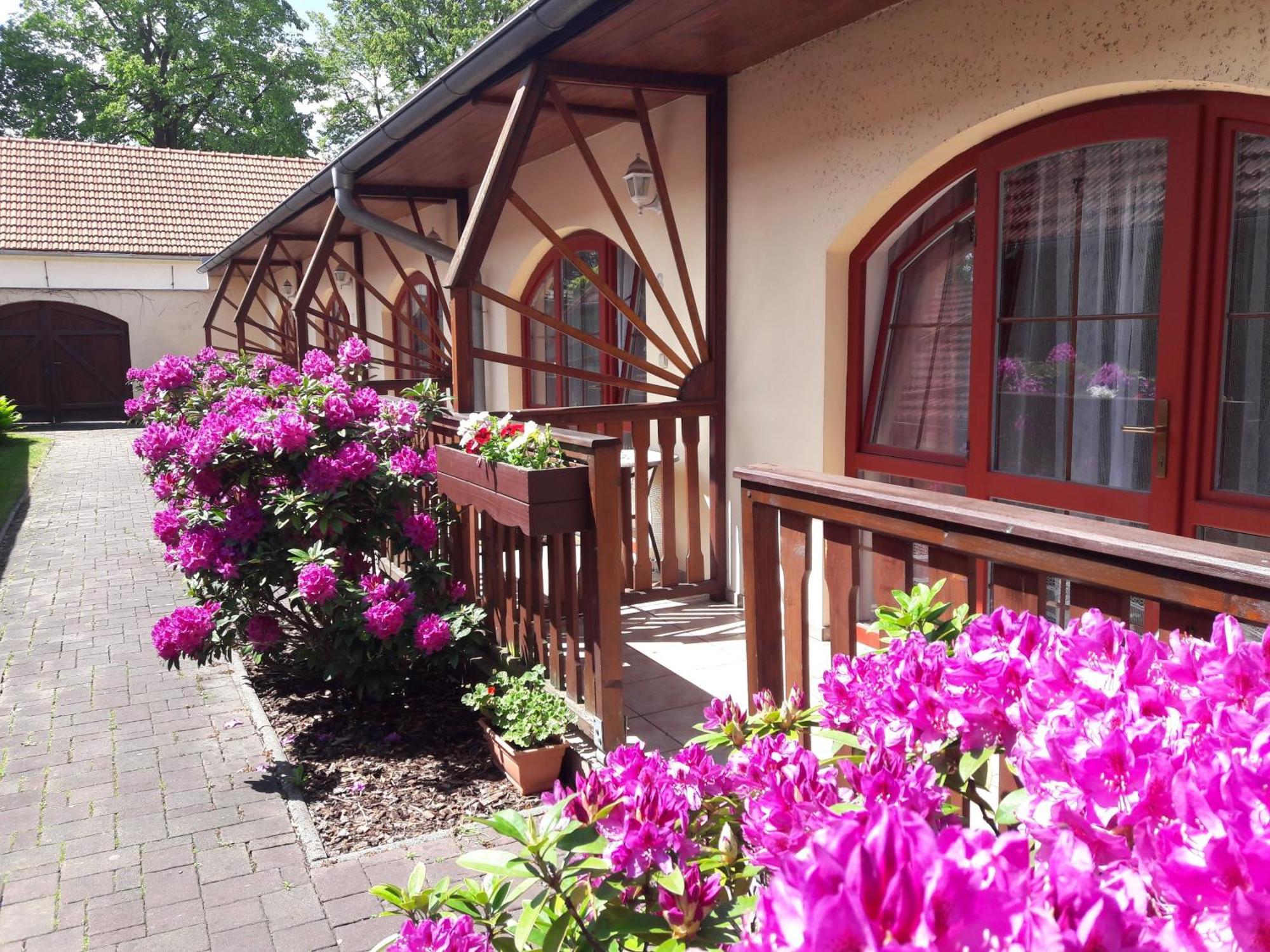 Hotel Fogl Nová Bystřice Bagian luar foto